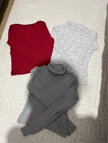 basic body