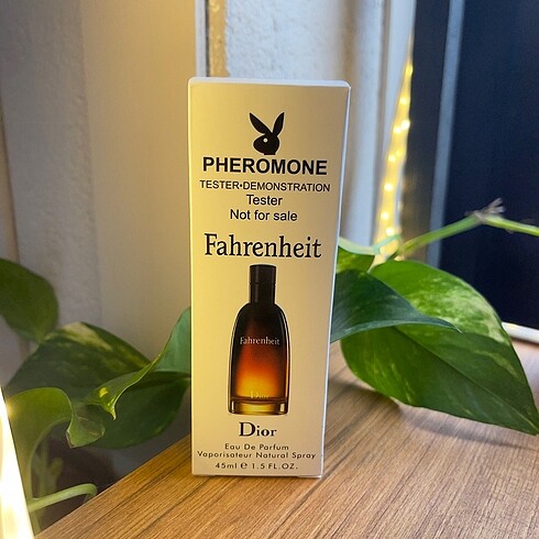 DİOR FAHRENHEİT