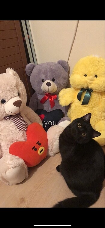 Diğer Büyük Oyuncak Ayı Peluş