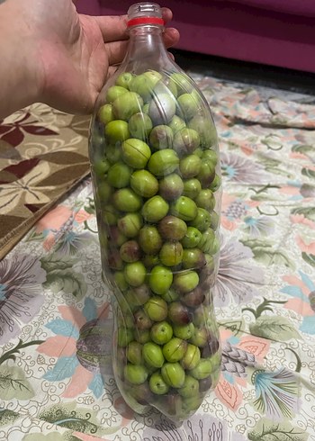 Yeşil zeytin - Görsel 2