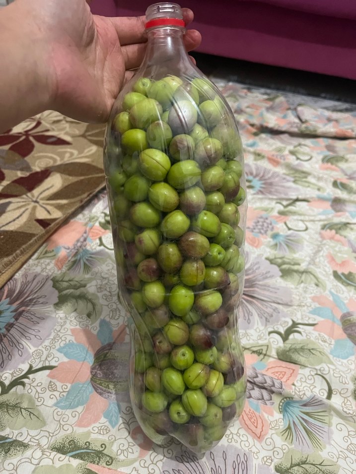 Yeşil zeytin - Görsel 2