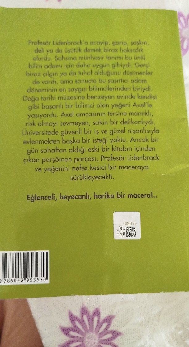 Dünya'nın Merkezine Yolculuk - Kısaltılmış Metin - Görsel 2