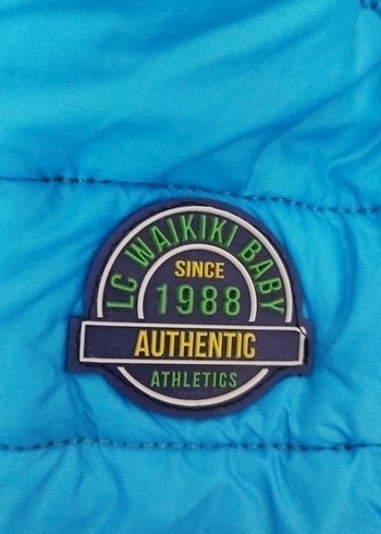 Kapüşonlu Erkek Çocuk Renkli Fermuarlı Mont - Görsel 3