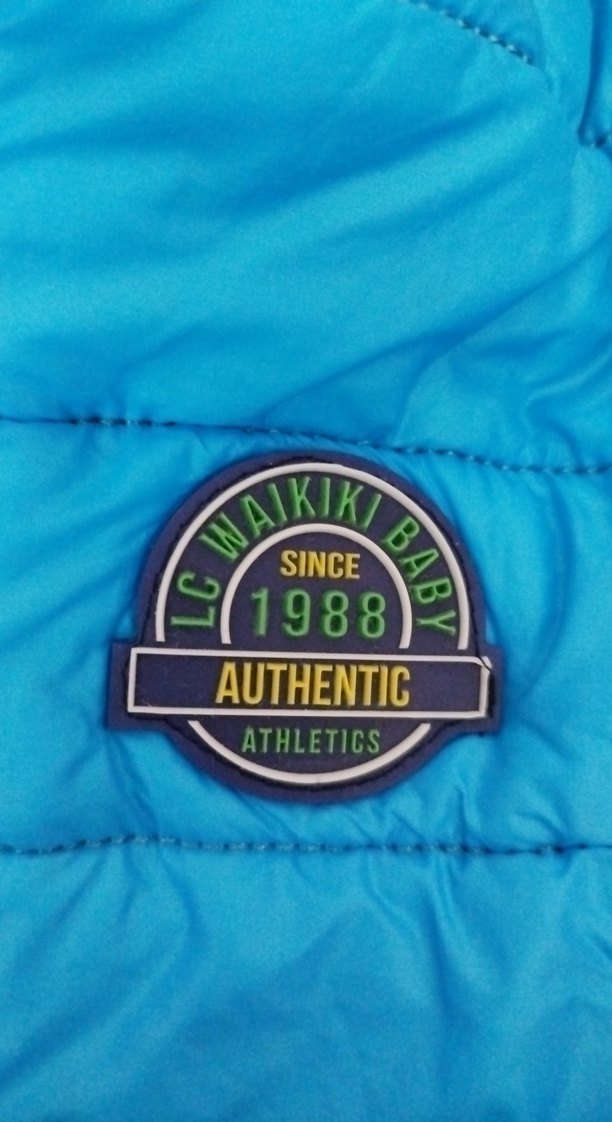 Kapüşonlu Erkek Çocuk Renkli Fermuarlı Mont - Görsel 3