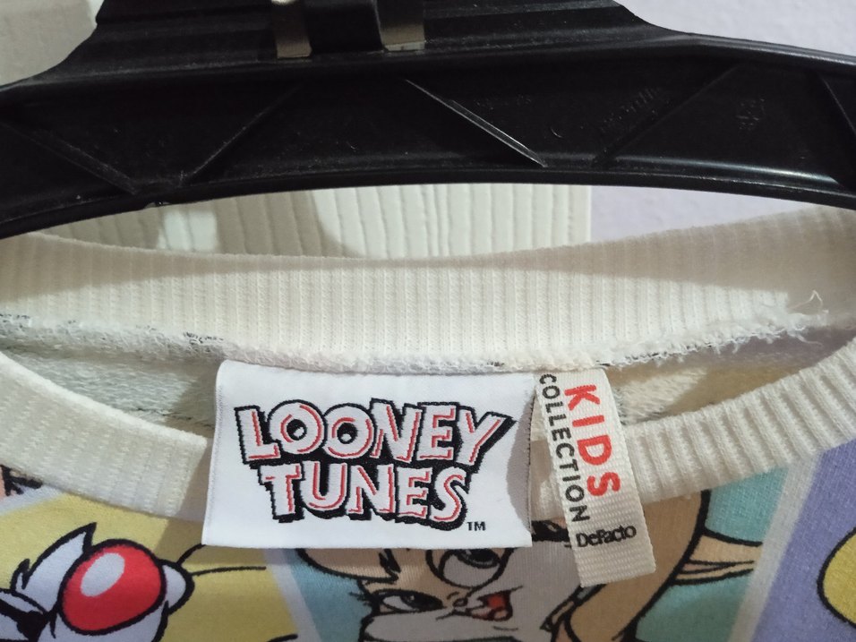 Kız Çocuk Renkli Looney Tunes Baskılı Sweatshirt - Görsel 3
