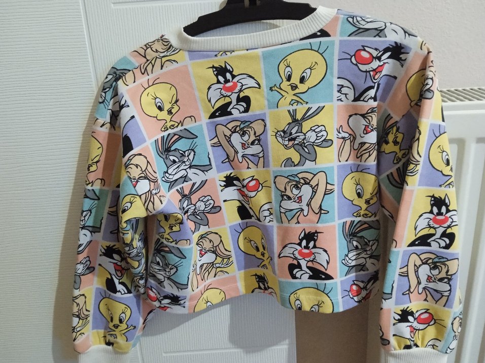 Kız Çocuk Renkli Looney Tunes Baskılı Sweatshirt - Görsel 2