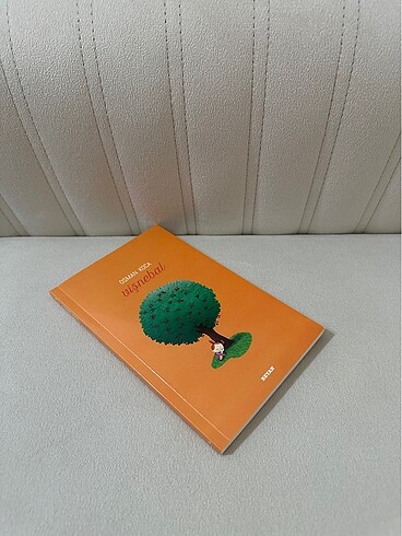 Kitap