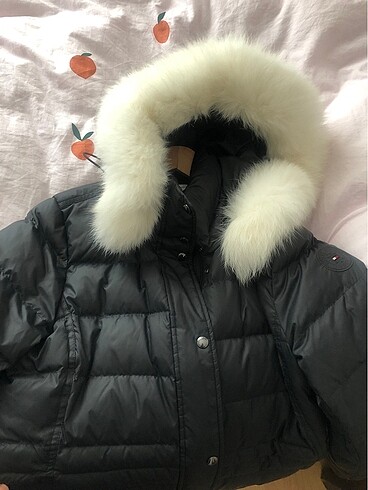 Tommy Hilfiger Tommy hilfiger
