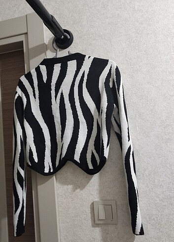 Diğer Zebra kazak