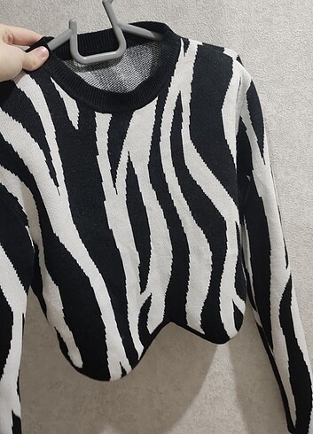 s Beden Zebra kazak