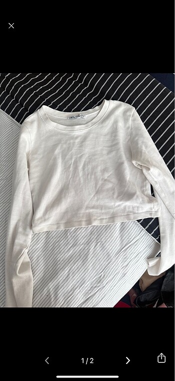 Zara Zara crop