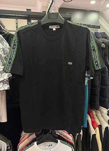 Lacoste normal kalıp t-shirt 