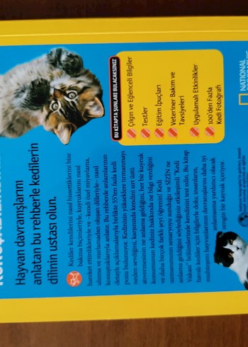 Kedileri Anlama Kılavuzu - Çocuk Kitabı - Görsel 2