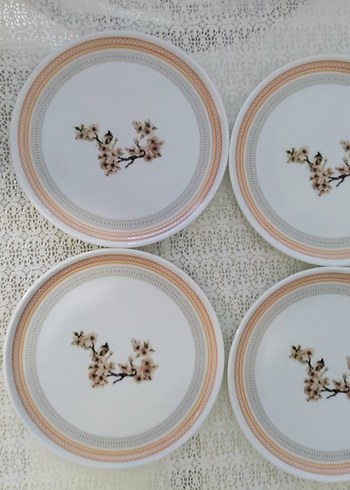 Porland pasta tabağı - Görsel 3