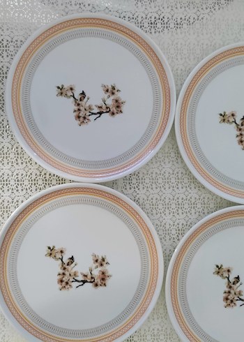 Porland pasta tabağı - Görsel 6