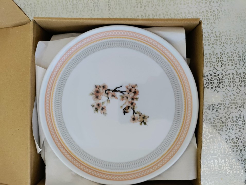 Porland pasta tabağı - Görsel 5