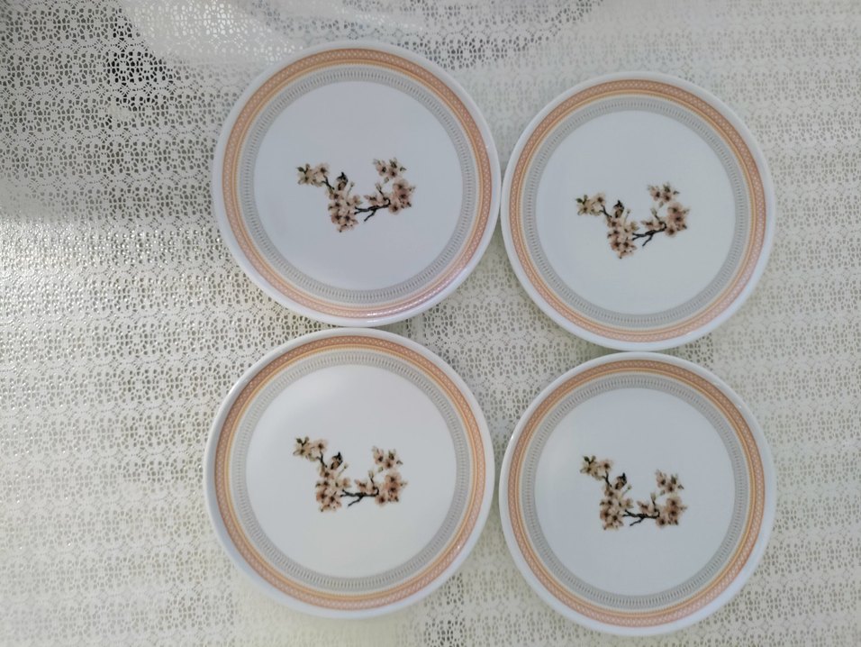 Porland pasta tabağı - Görsel 3