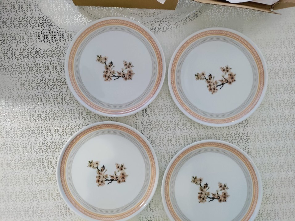 Porland pasta tabağı - Görsel 2