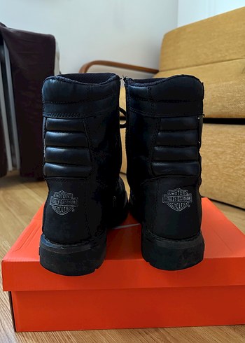 Harley Davidson harley davidson erkek bot