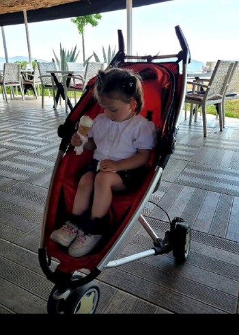 3 teker Kırmızı ve Gri Bebek Arabası - Görsel 2