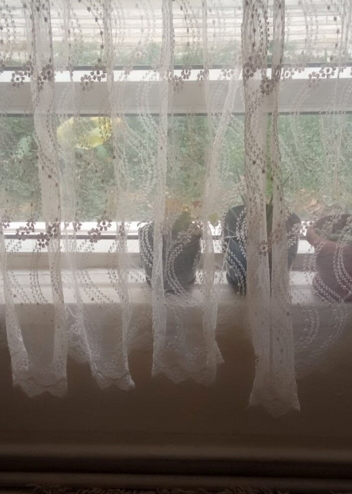 Tül perde  - Görsel 5