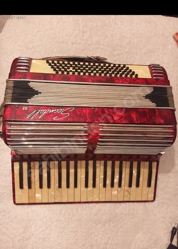 Vintage Scandalli Akordeon
