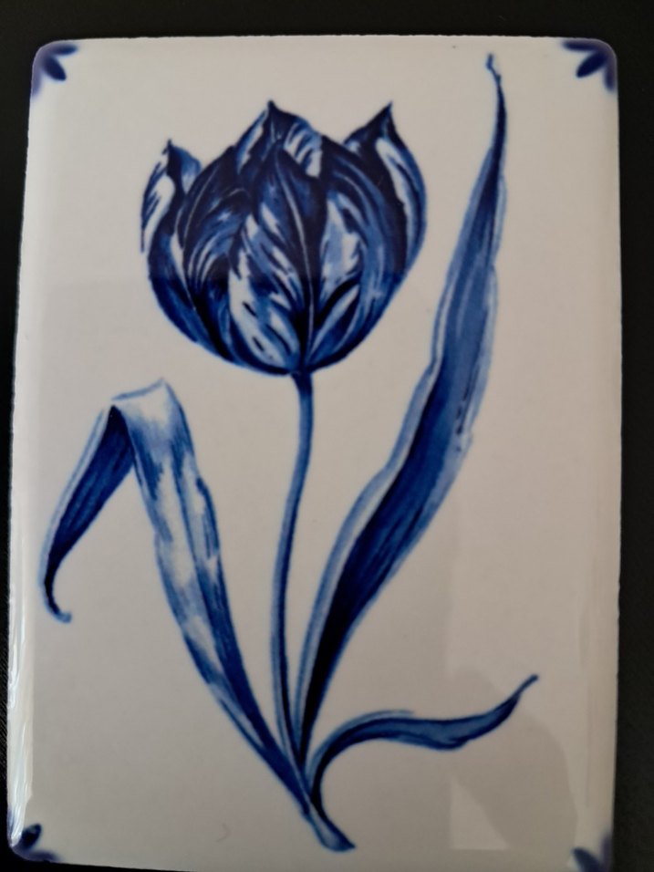 Mavi Beyaz El boyama Magnet - Görsel 2