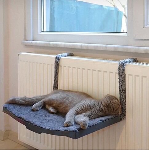 Kedi (Petek, Kalorifer, Radyatör)Yatağı