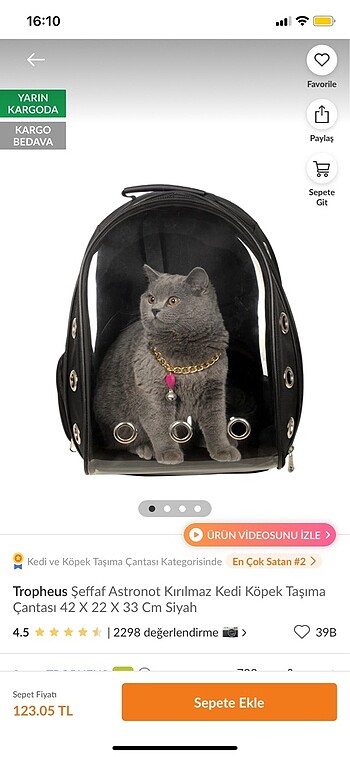 kedi çantası