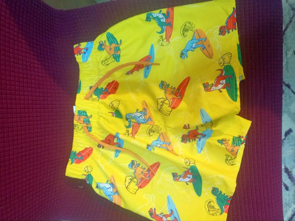 Renkli Dinozor Baskılı Erkek Mayo kombin - Görsel 2