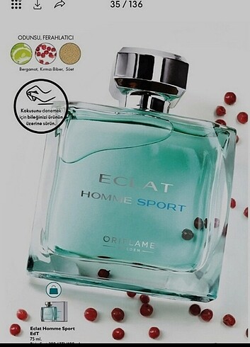 Eclat homme sport