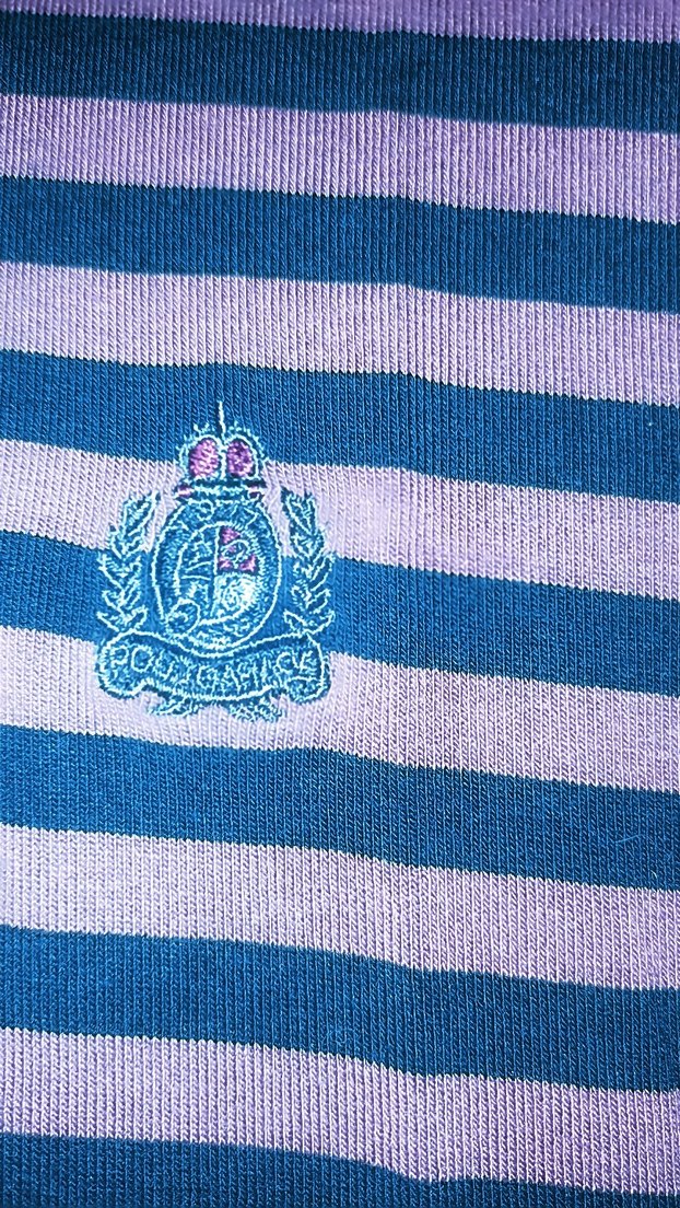 40 beden pamuklu likralı Polo Tişört - Görsel 4