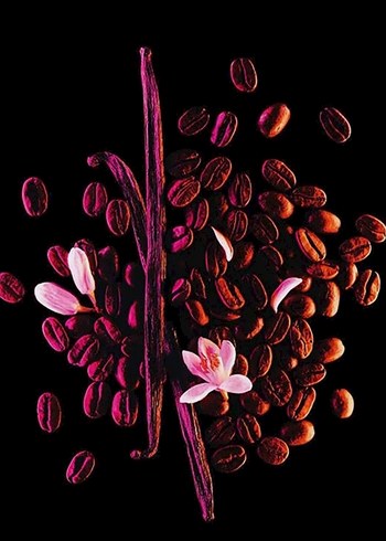 Yves Saint Laurent Black Opium Kadın Parfümü 90 ml - Görsel 4