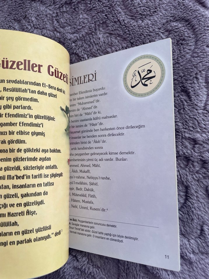Sevgili Peygamberimiz Kitabı - Görsel 5