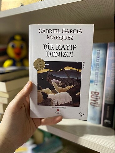 Bir kayıp denizci