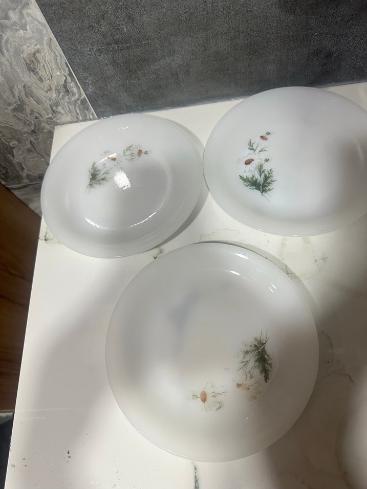 Arcopal France tabaklar - Görsel 2