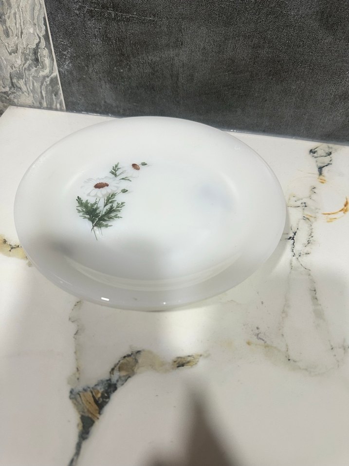 Arcopal France tabaklar - Görsel 5