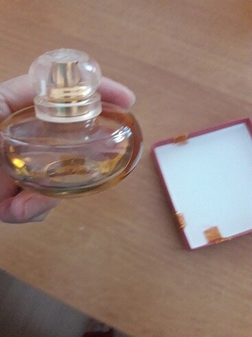 volare magnolia - Görsel 3