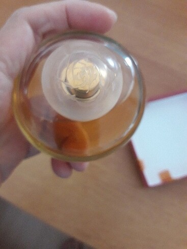 volare magnolia - Görsel 4