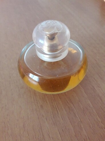 volare magnolia - Görsel 5