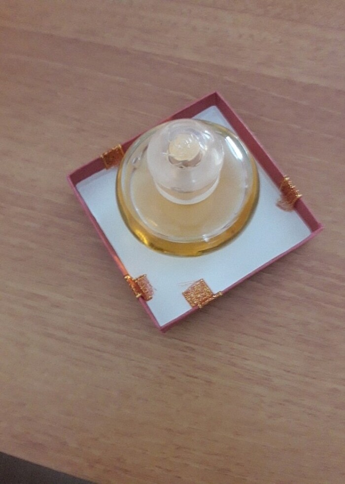 volare magnolia - Görsel 2