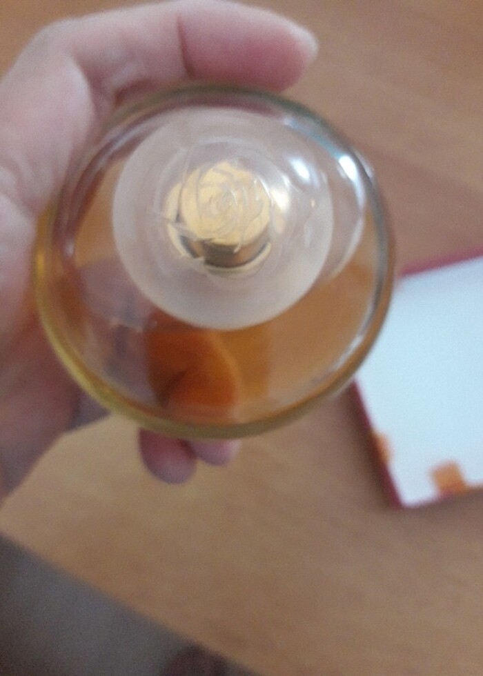 volare magnolia - Görsel 4