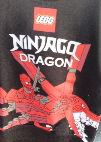 LEGO Ninjago Dragon Desenli Erkek eşofman takım - Görsel 2