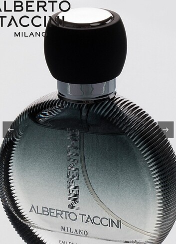 Beden Alberto taccini kadin parfum