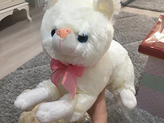 Peluş kedi