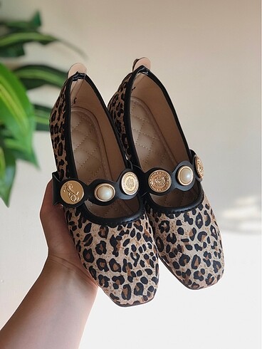 37 Beden Leopar babet