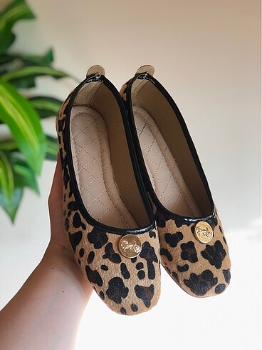 Leopar babet