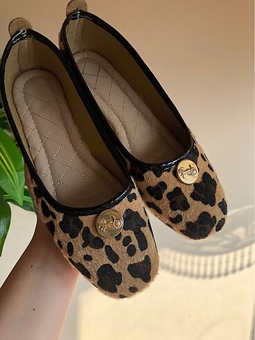 40 Beden Leopar babet