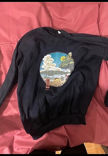 Diğer totoro sweat