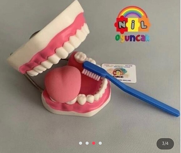 oyuncak ağız diş modeli